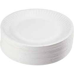 Plato de cartón