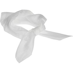Pañuelo de seda