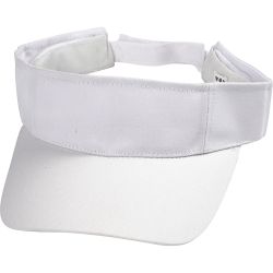 Visera