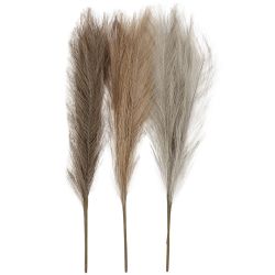 Pasto Pampas