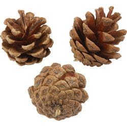 Piñas