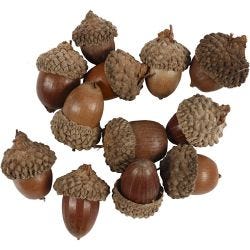 Bellota