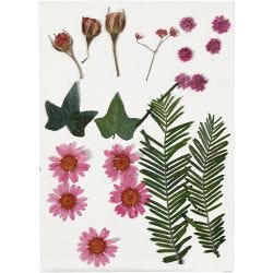 Flores y hojas prensadas, rojo claro, 1 paquete