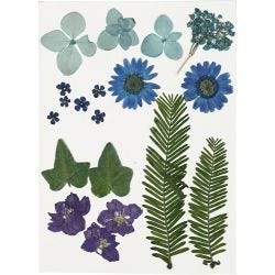 Flores y hojas prensadas, azul, 1 paquete