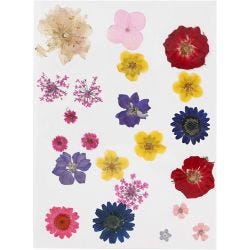 Flores y hojas prensadas