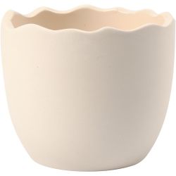 Cáscara de huevo