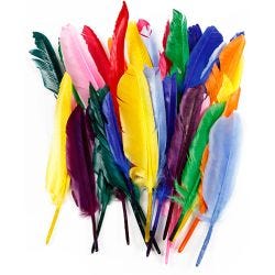 Plumas