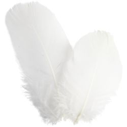 Plumas de ganso redondas