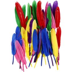 Plumas
