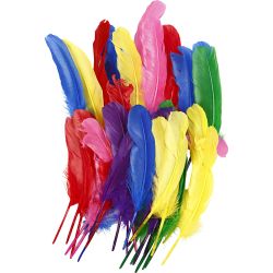 Plumas, L. 20 cm, surtido de colores, 36 ud/ 1 paquete