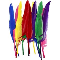 Plumas