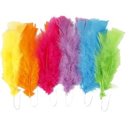 Plumas, L. 11-17 cm, surtido de colores, 18 fajo/ 1 paquete
