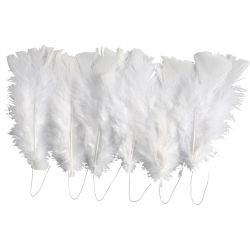 Plumas, L. 11-17 cm, blanco, 18 fajo/ 1 paquete