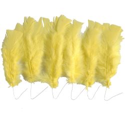 Plumas, L. 11-17 cm, amarillo, 18 fajo/ 1 paquete
