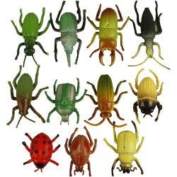 Insectos