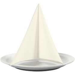 Servilleta, medidas 40x40 cm, 60 gr, blanquecino, 20 ud/ 1 paquete