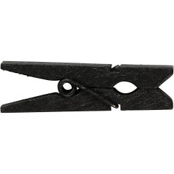 Pinza