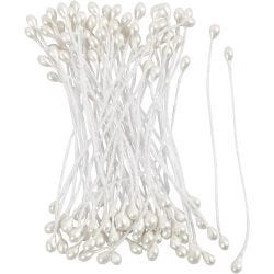Estambres de Flores