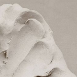 Arcilla de Autoendurecimiento