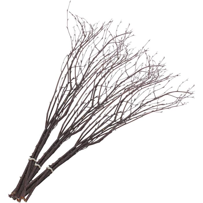 L. 50-60 cm, 2x10736648 ud/ 1 paquete