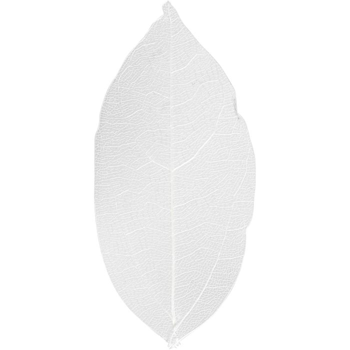 Esqueleto de hojas, L. 6-8 cm, blanco, 20 ud/ 1 paquete