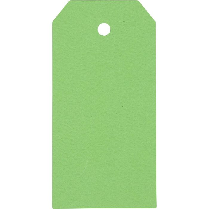 Etiquetas Manila, medidas 5x10 cm, 250 gr, verde, 20 ud/ 1 paquete