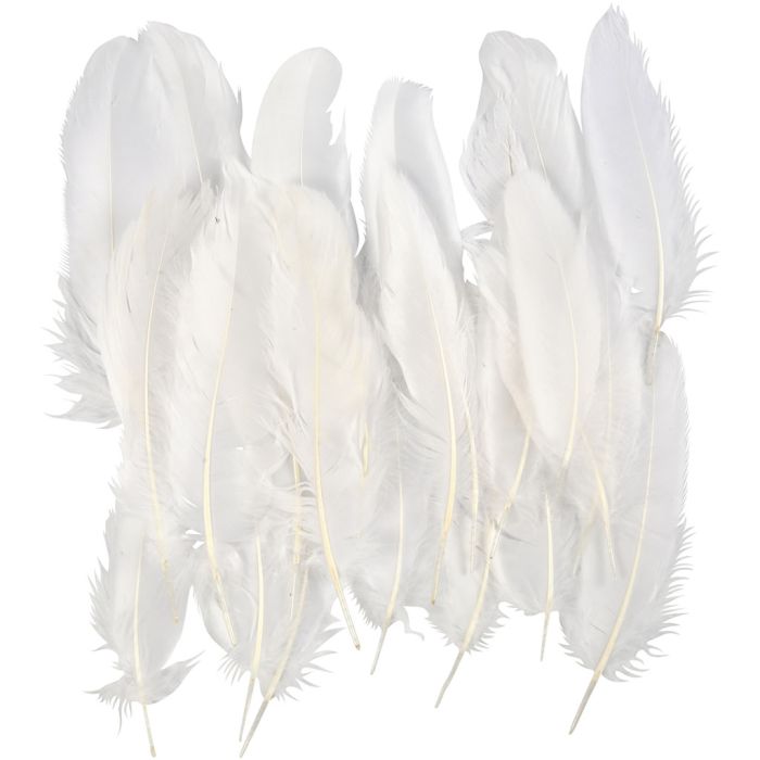 Plumas, ca. 10-18 cm, blanco, 5x70 ud/ 1 paquete