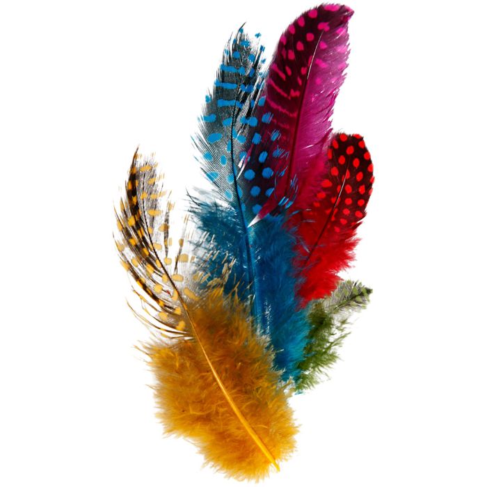 Plumas de gallina de guinea, ca. 100 ud, surtido de colores, 3 gr/ 1 paquete