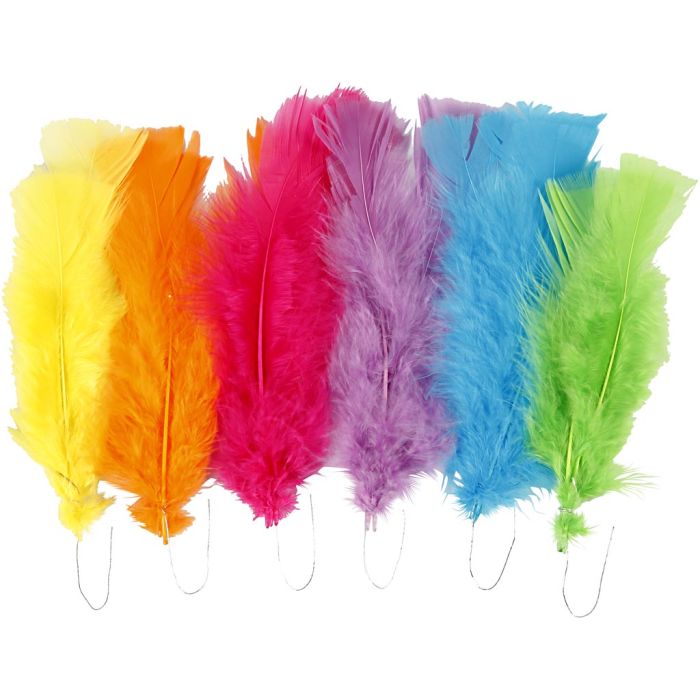 Plumas, medidas 11-17 cm, surtido de colores, 18 fajo/ 1 paquete