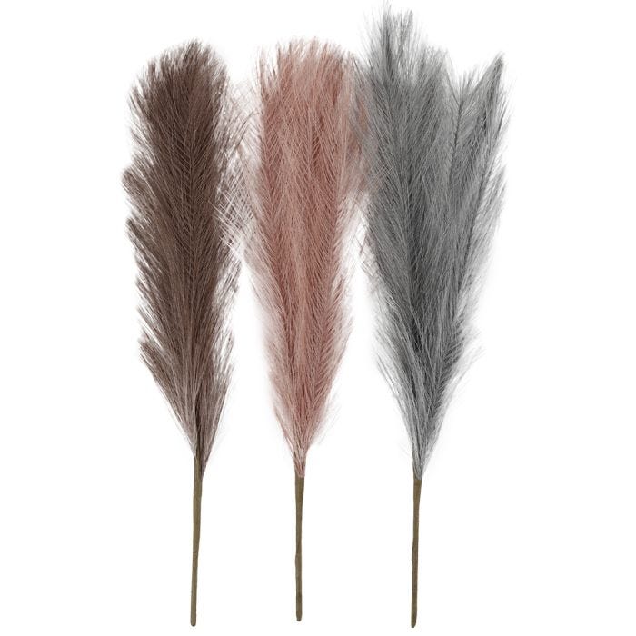 Pasto Pampas, L. 50 cm, azul palomo, frosted purple, rosa antiguo, 3 ud/ 1 fajo