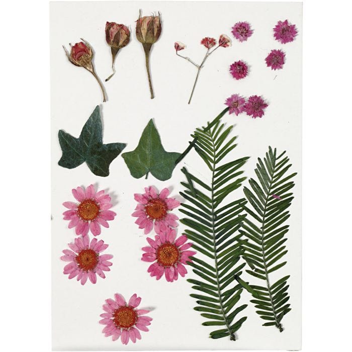 Flores y hojas prensadas, rojo claro, 1 paquete