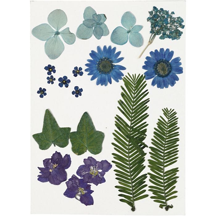 Flores y hojas prensadas, azul, 1 paquete