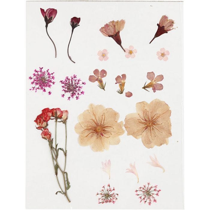 Flores y hojas prensadas, rosa claro, 1 paquete