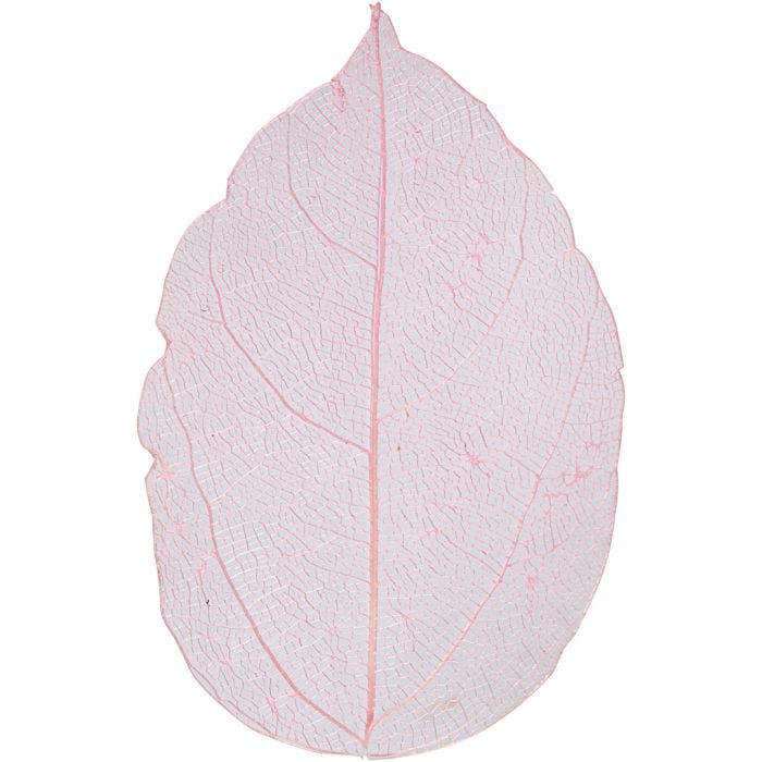 Esqueleto de hojas, L. 6-8 cm, rojo claro, 20 ud/ 1 paquete