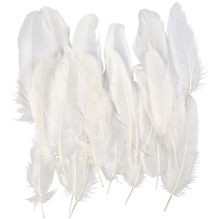 Plumas, medidas 10-18, blanco, 70 ud/ 1 bolsa