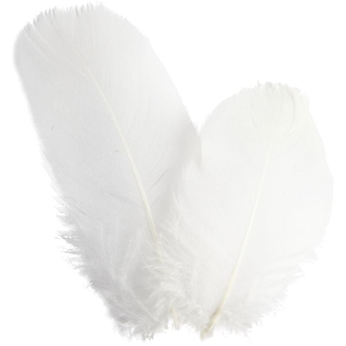 Plumas de ganso redondas, L. 5-8 cm, blanco, 3 gr/ 1 paquete