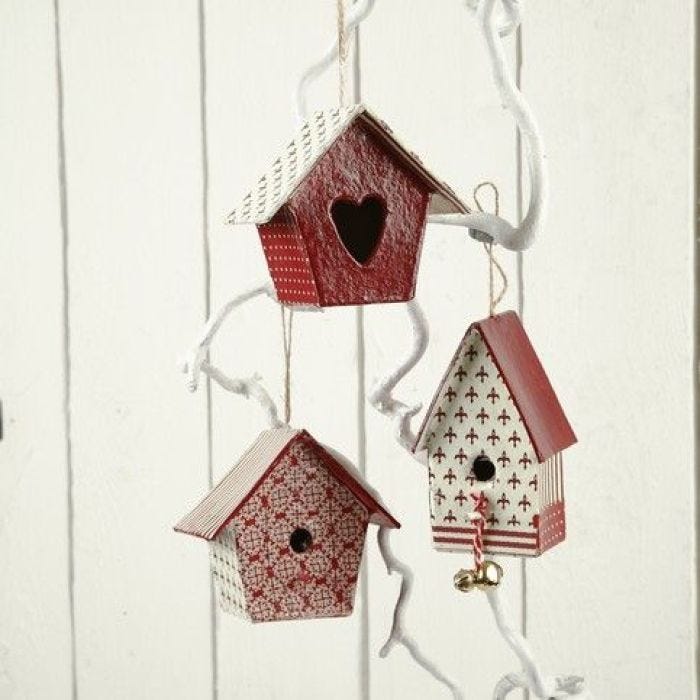 Bird Boxes