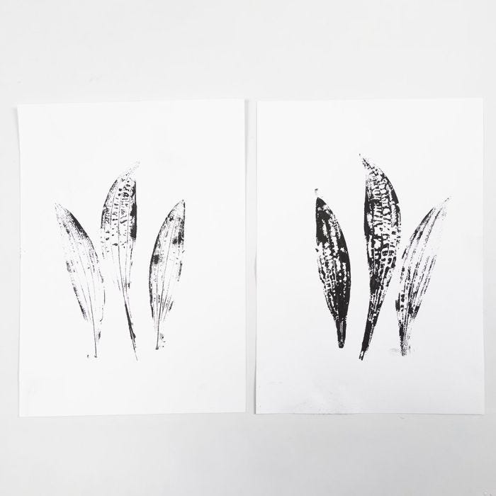 Cómo hacer impresiones en gel con diseños naturales