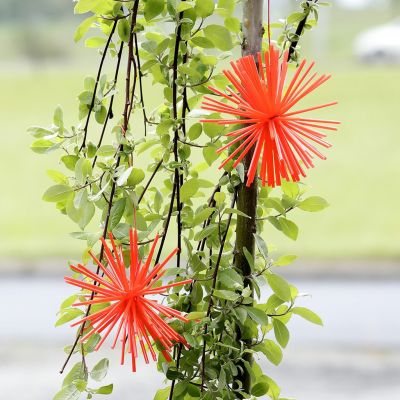  Pom-Poms hechos con pajitas de plástico