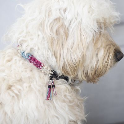 Collar para perro de ganchillo