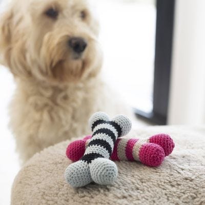 Hueso de perro de ganchillo
