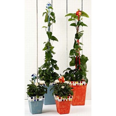 Pots de fleurs avec Plus Color et mosaïque.