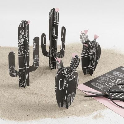 Cactus con papel diseño Vivi Gade