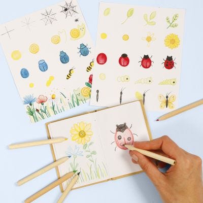 Aprende cómo dibujar insectos y flores en un libro de naturaleza.