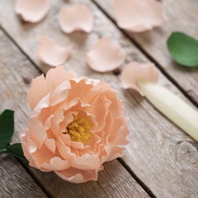 A peony from crepe paper