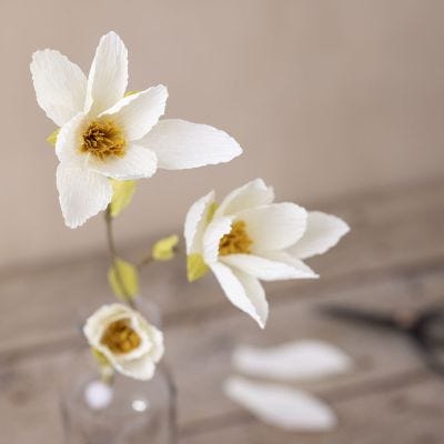 Magnolia de papel crespón