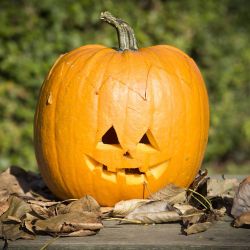 Juego de tallado de calabaza
