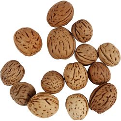 Nueces 