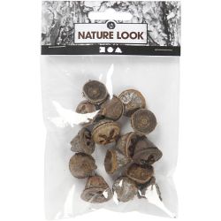 Frutos de eucalipto