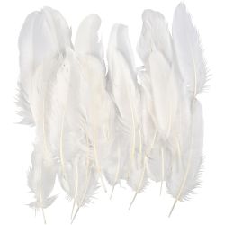 Plumas